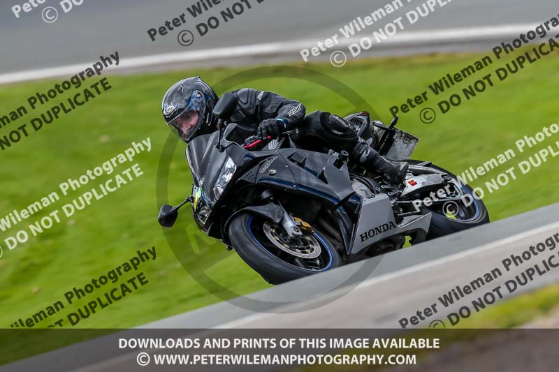 Oulton Park 20th March 2020;PJ Motorsport Photography 2020;anglesey;brands hatch;cadwell park;croft;donington park;enduro digital images;event digital images;eventdigitalimages;mallory;no limits;oulton park;peter wileman photography;racing digital images;silverstone;snetterton;trackday digital images;trackday photos;vmcc banbury run;welsh 2 day enduro